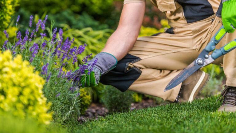 serveis de jardineria