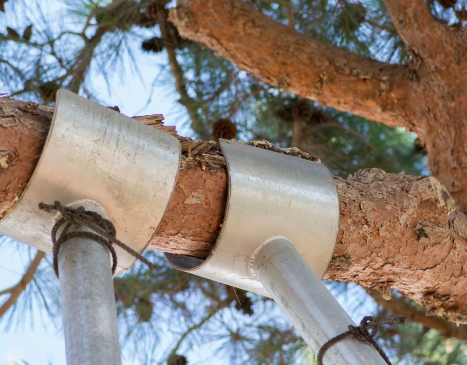 serveis d'arboricultura