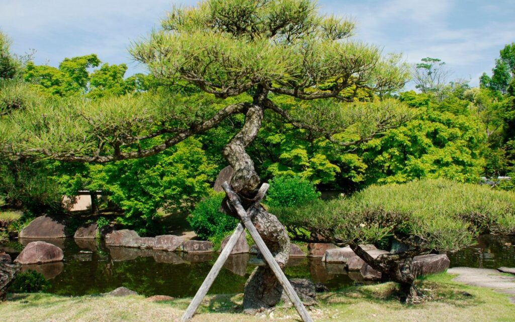 serveis d'arboricultura